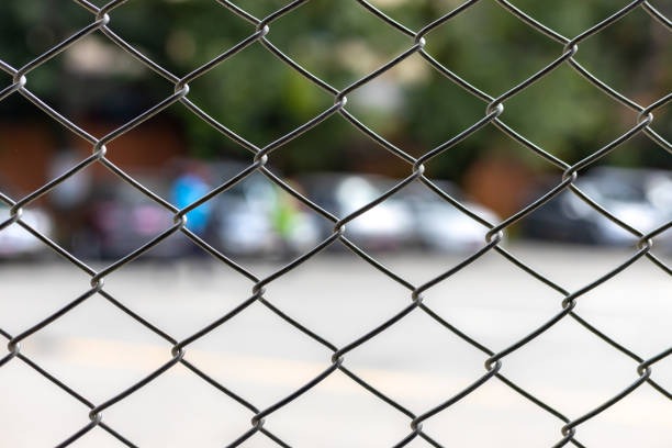 Zaeune im Alltag warum die richtige Wahl entscheidend ist